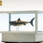Tiburón Maqueta 1/18 Jaws Bronze 60 cm - Z POP Toys