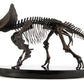 Jurassic World ECC Elite Creature Line Estatua 1/12 Triceratops Fossil Skeleton Bronze 33 cm