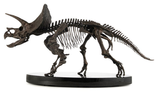 Jurassic World ECC Elite Creature Line Estatua 1/12 Triceratops Fossil Skeleton Bronze 33 cm
