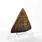 Jurassic Park Estatua Triceratops Spike Prop (Reproduction) 19 cm