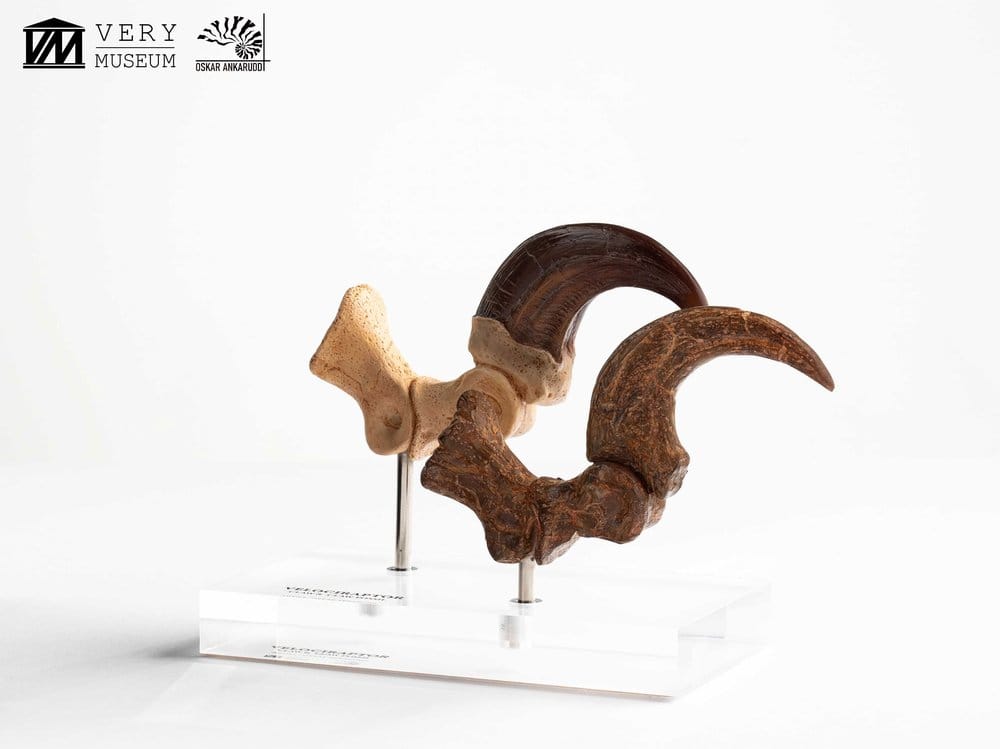 Jurassic Park ECC Elite Creature Line Estatua Velociraptor Foot Claw and Fossil Claw Set 20 cm