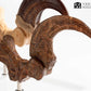 Jurassic Park ECC Elite Creature Line Estatua Velociraptor Foot Claw and Fossil Claw Set 20 cm