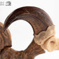 Jurassic Park ECC Elite Creature Line Estatua Velociraptor Foot Claw and Fossil Claw Set 20 cm
