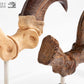 Jurassic Park ECC Elite Creature Line Estatua Velociraptor Foot Claw and Fossil Claw Set 20 cm
