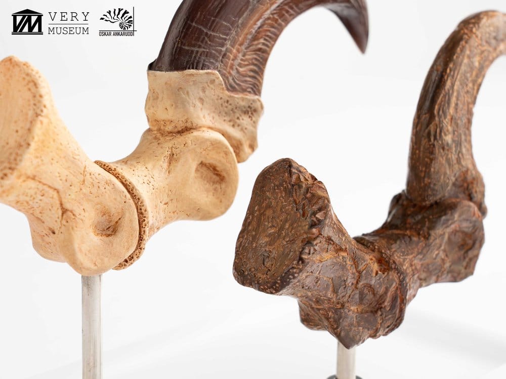 Jurassic Park ECC Elite Creature Line Estatua Velociraptor Foot Claw and Fossil Claw Set 20 cm