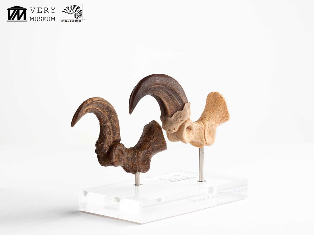 Jurassic Park ECC Elite Creature Line Estatua Velociraptor Foot Claw and Fossil Claw Set 20 cm