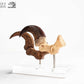 Jurassic Park ECC Elite Creature Line Estatua Velociraptor Foot Claw and Fossil Claw Set 20 cm