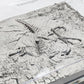 Parque Jurásico III Mapa de excavación Velociraptor 27 cm