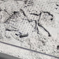 Parque Jurásico III Mapa de excavación Velociraptor 27 cm