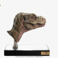 The Lost World: Jurassic Park Réplica 1/1 Junior T-Rex Prop (Reproduction) 39 cm