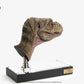 The Lost World: Jurassic Park Réplica 1/1 Junior T-Rex Prop (Reproduction) 39 cm