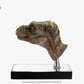 The Lost World: Jurassic Park Réplica 1/1 Junior T-Rex Prop (Reproduction) 39 cm