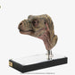 The Lost World: Jurassic Park Réplica 1/1 Junior T-Rex Prop (Reproduction) 39 cm