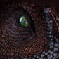 Parque Jurásico III Réplica 1/2 Spinosaurus (Reproduction) 100 cm
