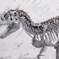 Jurassic World Estatua 1/24 Indominus Rex Skeleton Bronze 24 cm