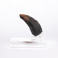 Jurassic Park 1/1 Réplica Velociraptor Toenail Type A 11 cm