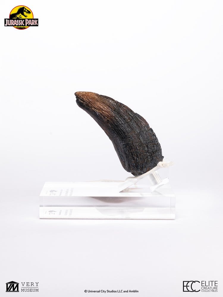 Jurassic Park 1/1 Réplica Velociraptor Toenail Type A 11 cm