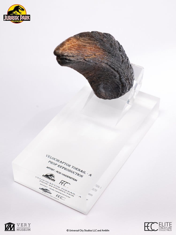 Jurassic Park 1/1 Réplica Velociraptor Toenail Type A 11 cm