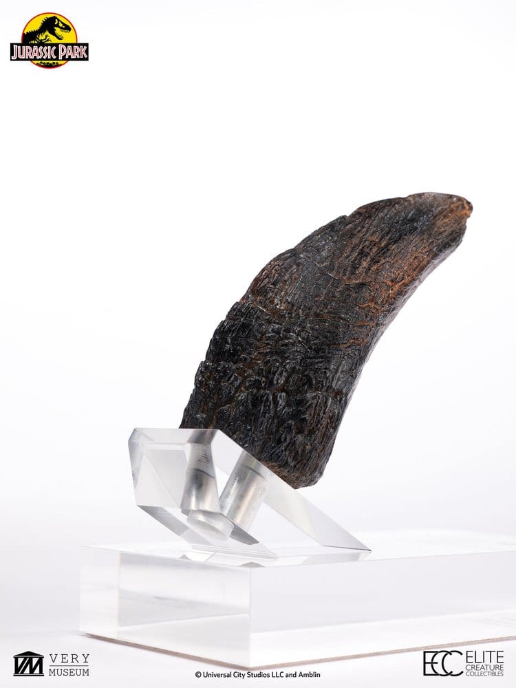 Jurassic Park 1/1 Réplica Velociraptor Toenail Type A 11 cm