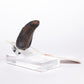 Jurassic Park 1/1 Réplica Velociraptor Toenail Type A 11 cm