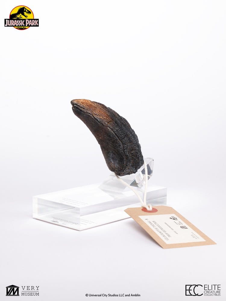 Jurassic Park 1/1 Réplica Velociraptor Toenail Type A 11 cm