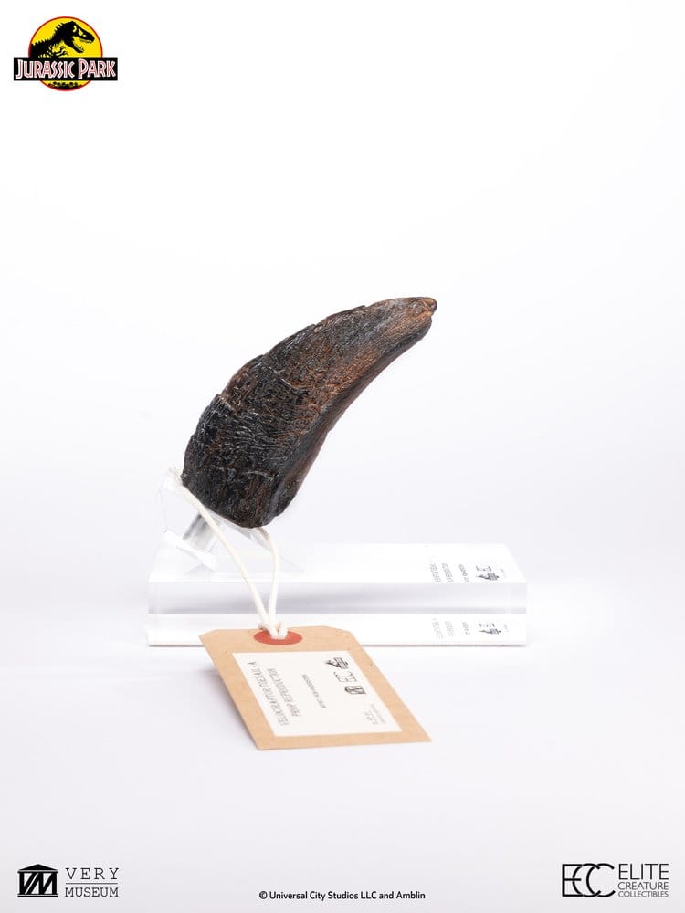 Jurassic Park 1/1 Réplica Velociraptor Toenail Type A 11 cm
