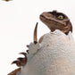 Jurassic Park Réplica Velociraptor Hatching Egg 24 cm