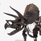 Parque Jurásico Estatua 1/24 Triceratops Fossil Skeleton Bronze 35 cm