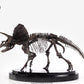 Parque Jurásico Estatua 1/24 Triceratops Fossil Skeleton Bronze 35 cm