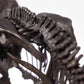 Parque Jurásico Estatua 1/24 Triceratops Fossil Skeleton Bronze 35 cm