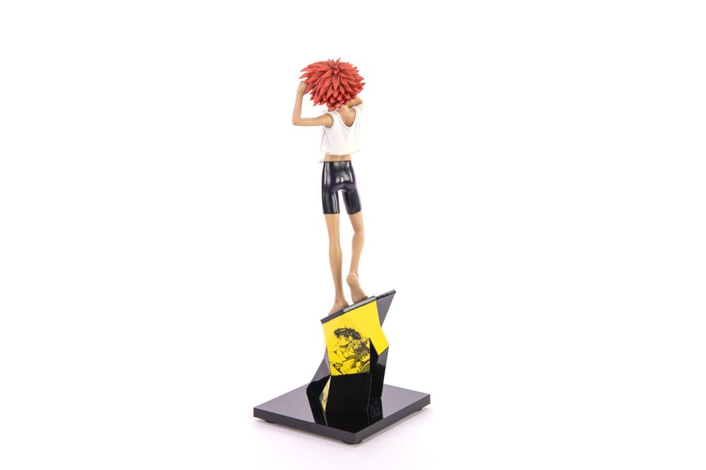 Cowboy Bebop Estatua 1/8 Ed & Ein 28 cm