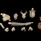 Mythic Legions: Reinforcement 3 Accesorios para Figuras Skeleton Soldiers Add-On Set