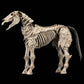 Mythic Legions: Reinforcement 3 Figura Skeleton Steed Legion Builder