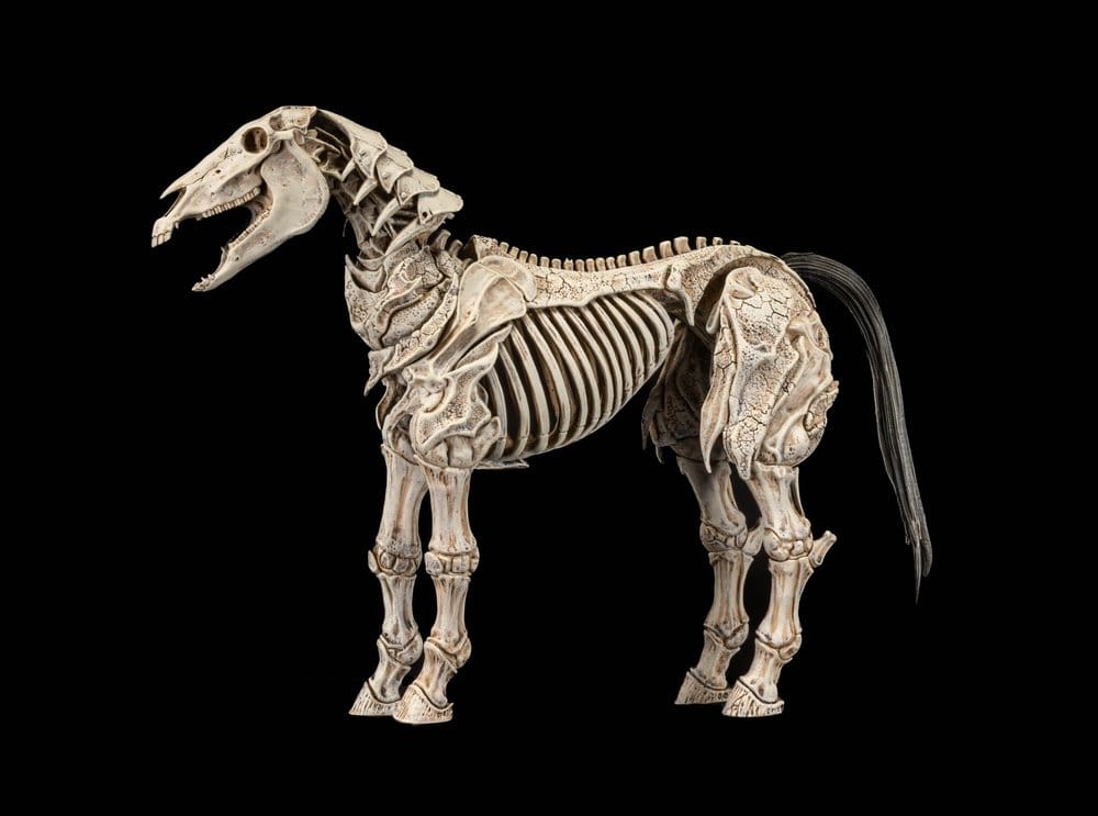 Mythic Legions: Reinforcement 3 Figura Skeleton Steed Legion Builder
