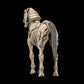 Mythic Legions: Reinforcement 3 Figura Skeleton Steed Legion Builder