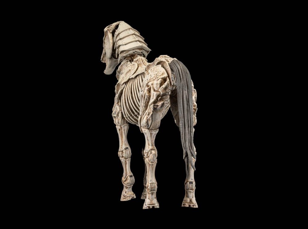 Mythic Legions: Reinforcement 3 Figura Skeleton Steed Legion Builder