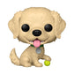 Funko-Legacy POP! Pets Vinyl Figura Golden Retriever 9 cm - Z POP Toys