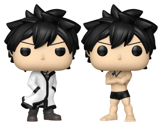Fairy Tail 100 Year Quest POP! Animation Vinyl Figuren Gray w/Chase 9 cm Surtido (6)