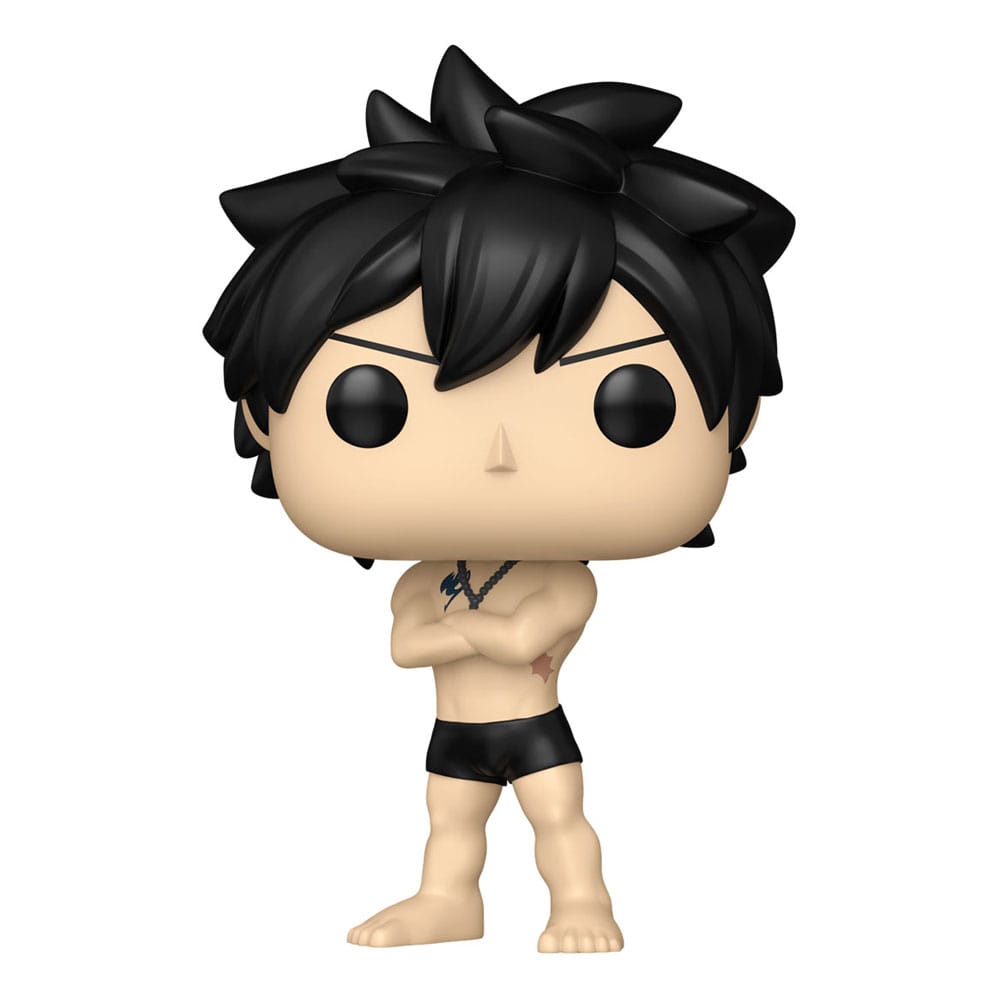 Fairy Tail 100 Year Quest POP! Animation Vinyl Figuren Gray w/Chase 9 cm Surtido (6)