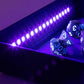 FanRoll Shadowlight Bandeja plegable para dados Blacklight Black