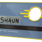 Fallout Réplica Security Keycard Vault 111 Limited Edition 11 cm