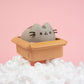 Pusheen Hucha