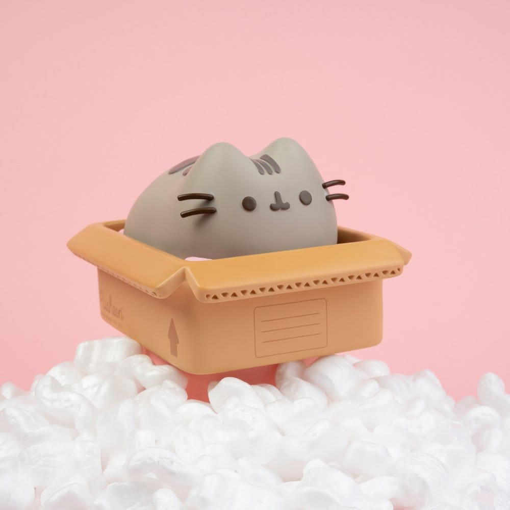 Pusheen Hucha