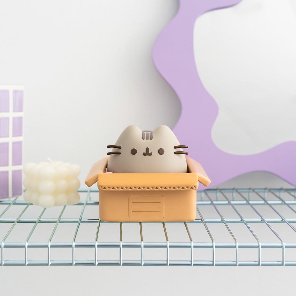 Pusheen Hucha