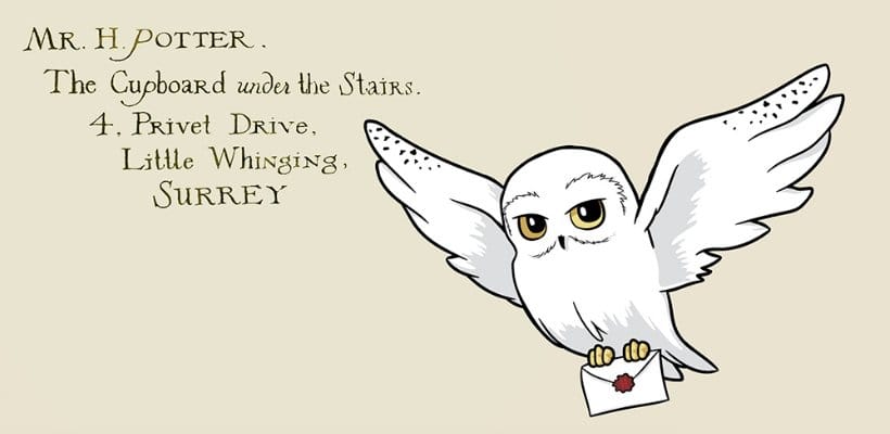 Harry Potter Premium Taza Hedwig 444 ml