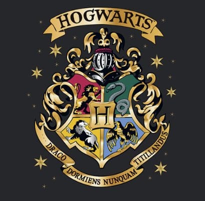 Harry Potter Premium Taza Hogwarts 444 ml