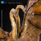 Godzilla: King of the Monsters 2019 Figura Exquisite Basic King Ghidorah 2.0 25 cm