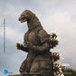 Godzilla Figura Exquisite Basic Godzilla vs King Ghidorah Godzilla Hokkaido 18 cm