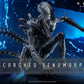 Alien: Romulus Figura Movie Masterpiece 1/6 Scorched Xenomorph 44 cm