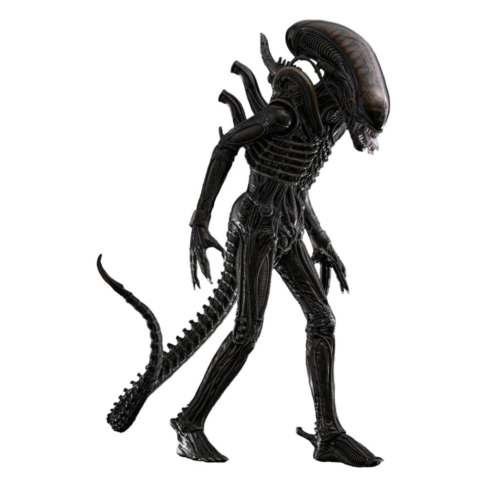Alien Figura Movie Masterpiece 1/6 Big Chap 36 cm - HOT TOYS FIGURA - Vista detallada